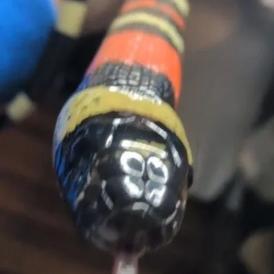 Q